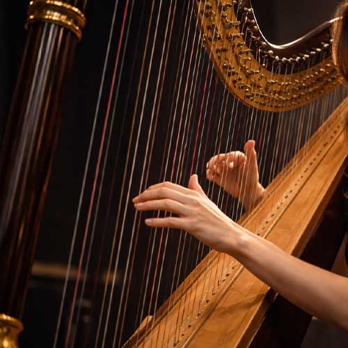 Harpiste lors du jeu