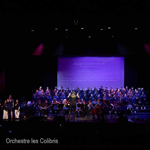 Photographie de l'Orchestre des Colibris avec chef d’orchestre vue de face