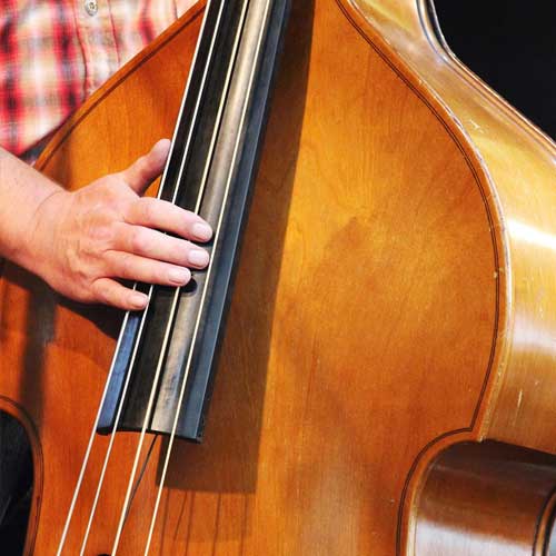 Soigner les musiciens, mieux les comprendre pour mieux les accompagner. SEMAINE SANTE DES ARTISTES - SESART 2025
