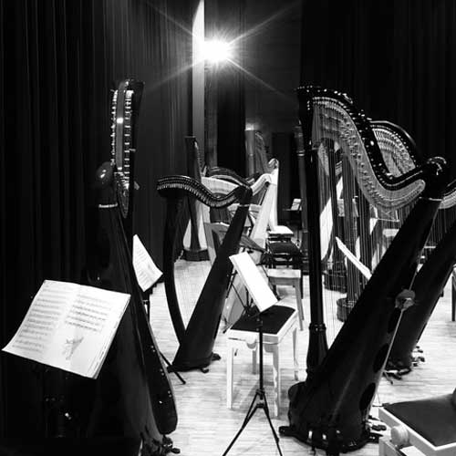 Ensemble de harpes disposé sur scène